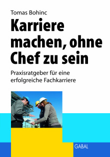 Karriere machen ohne Chef zu sein (Buchcover)