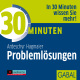 30 Minuten Problemlösungen