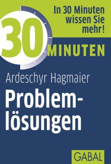 30 Minuten Problemlösungen (Buchcover)