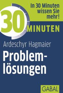 30 Minuten Problemlösungen (Buchcover) 30 Minuten Problemlösungen (Buchcover)