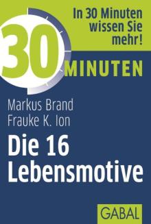 30 Minuten Die 16 Lebensmotive (Buchcover)