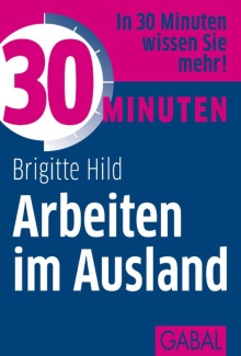 30 Minuten Arbeiten im Ausland (Buchcover)