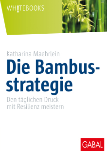 Die Bambusstrategie (Buchcover)