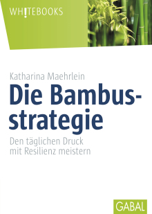 Die Bambusstrategie (Buchcover)
