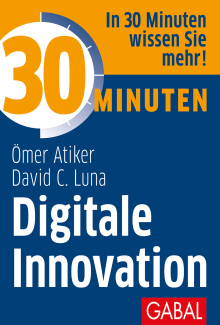 30 Minuten Digitale Innovation (Buchcover)