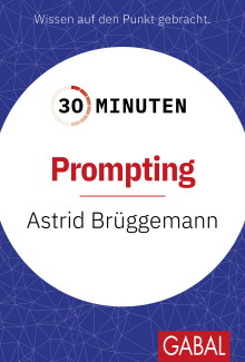30 Minuten Prompting (Buchcover) 30 Minuten Prompting (Buchcover)